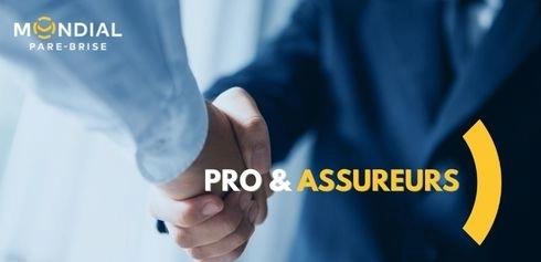 Rubrique pour les professionnels et les assureurs
