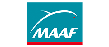 Logo Maaf