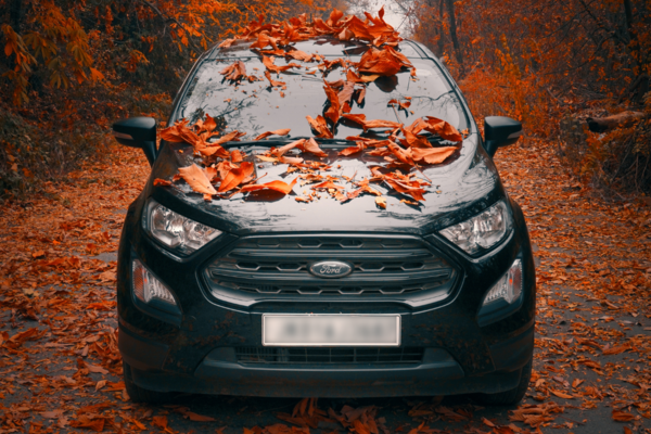 Réparation et remplacement vitrage et pare-brise sur Ford